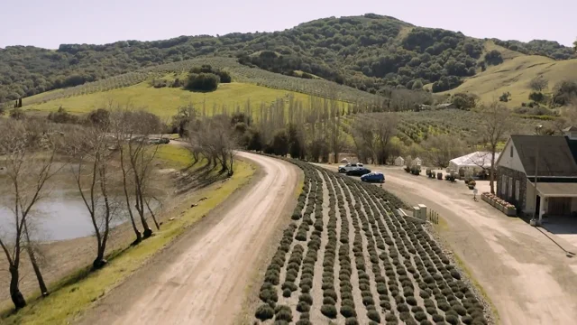 2022 Rosebud Rosé - McEvoy Ranch