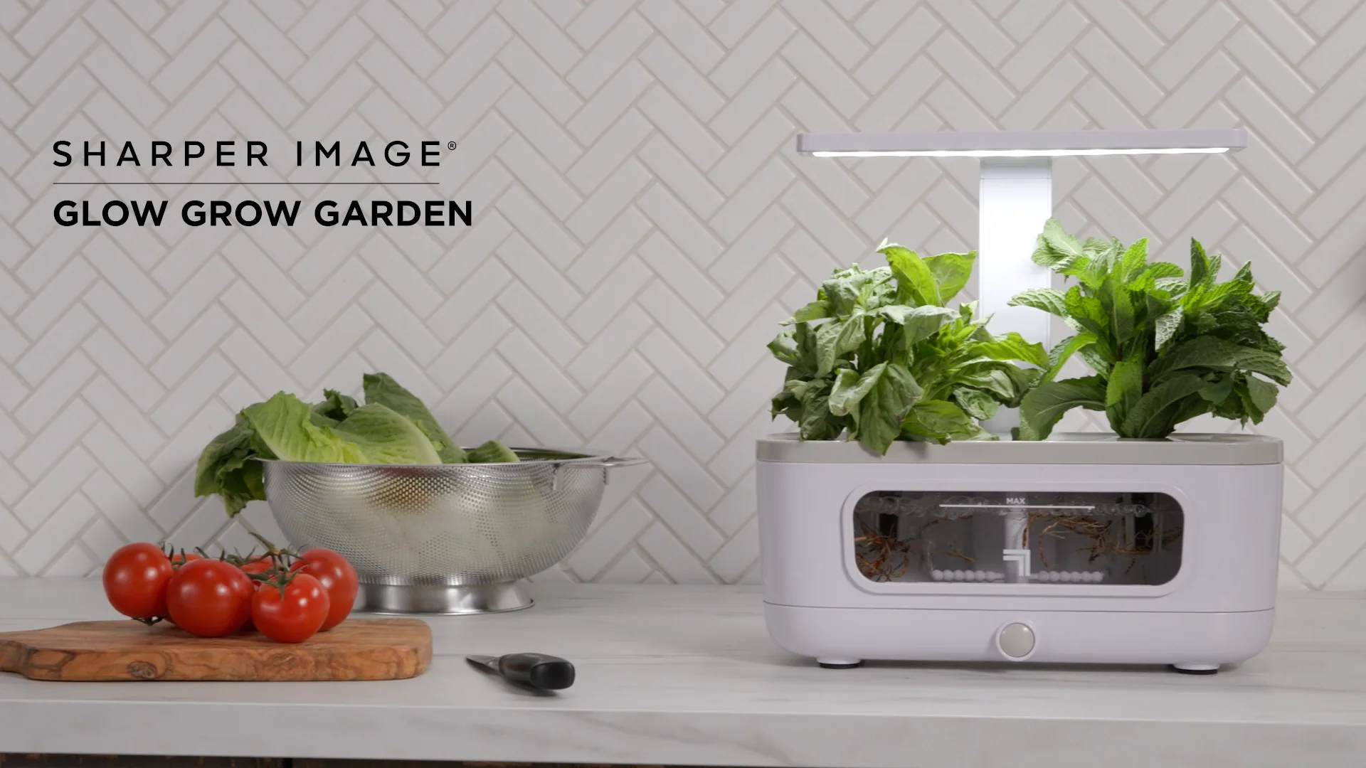 Sharper Image, Kitchen