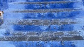 Motion — Sam Youkilis, Mini Title 2025