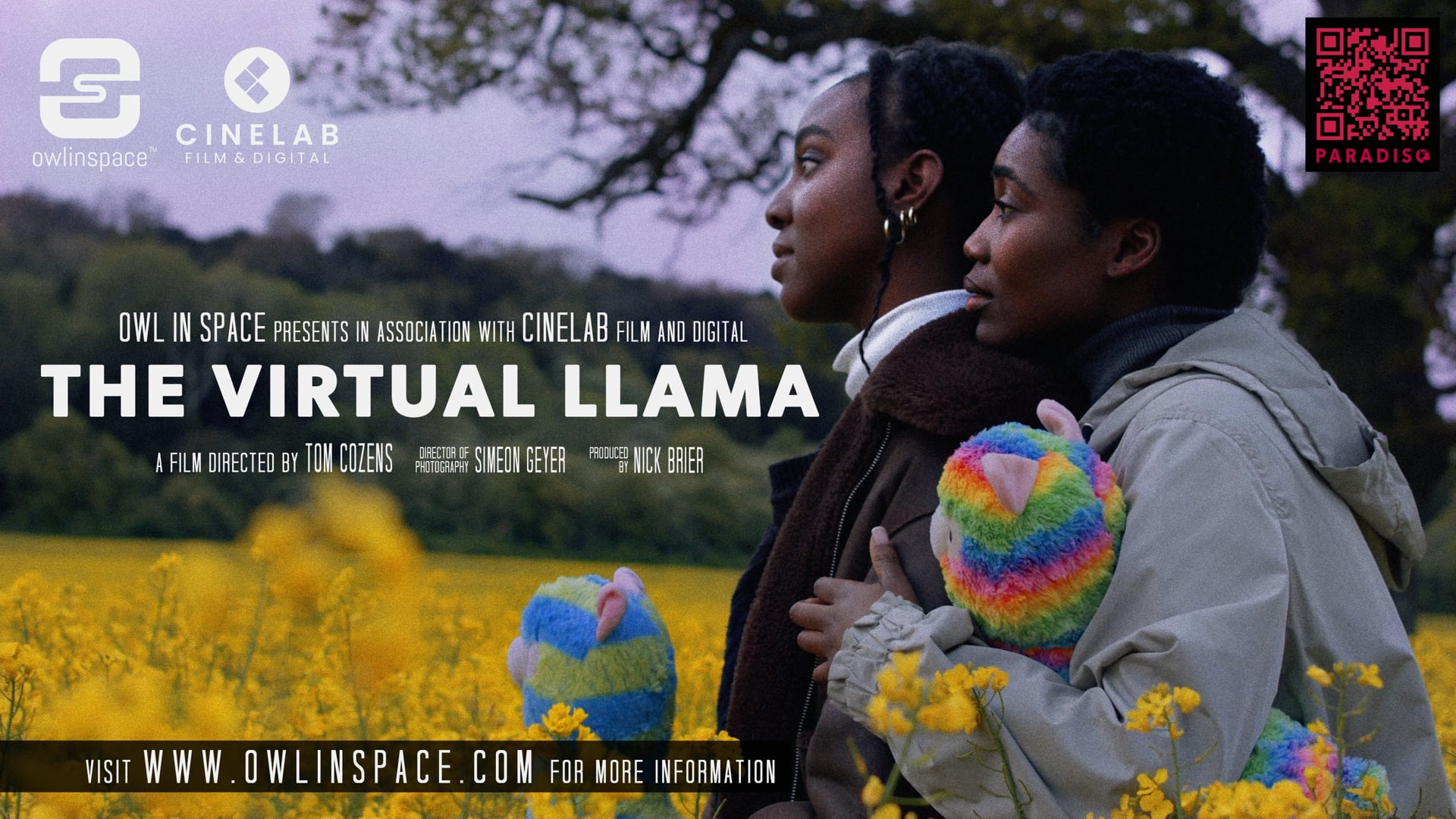 Digital to Film to Digital // 16mm FilmOut - The Virtual Llama