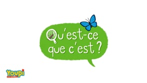 WHAT IS IT?