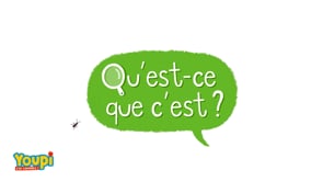 WHAT IS IT?
