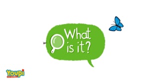 WHAT IS IT?