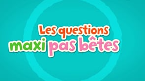 LES QUESTIONS MAXI PAS BÊTES