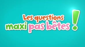 LES QUESTIONS MAXI PAS BÊTES
