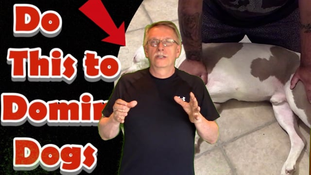 Should you do an Alpha Roll?