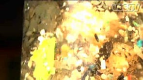 TOXIC - Garbage Island