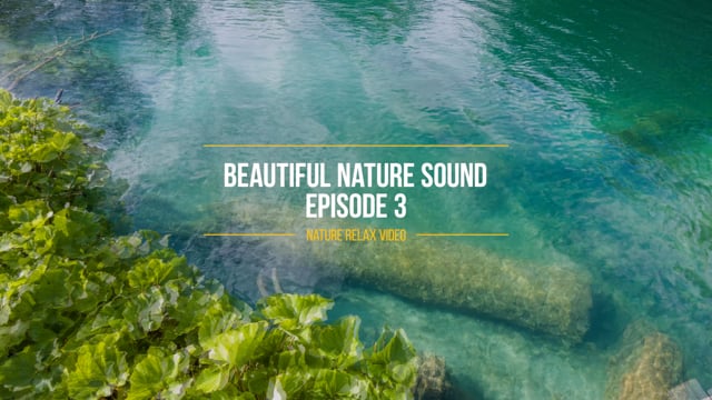 4K Beautiful Nature Soundscapes #3