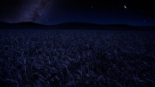 4K Palouse Wheat Fields at Night. Episode 3