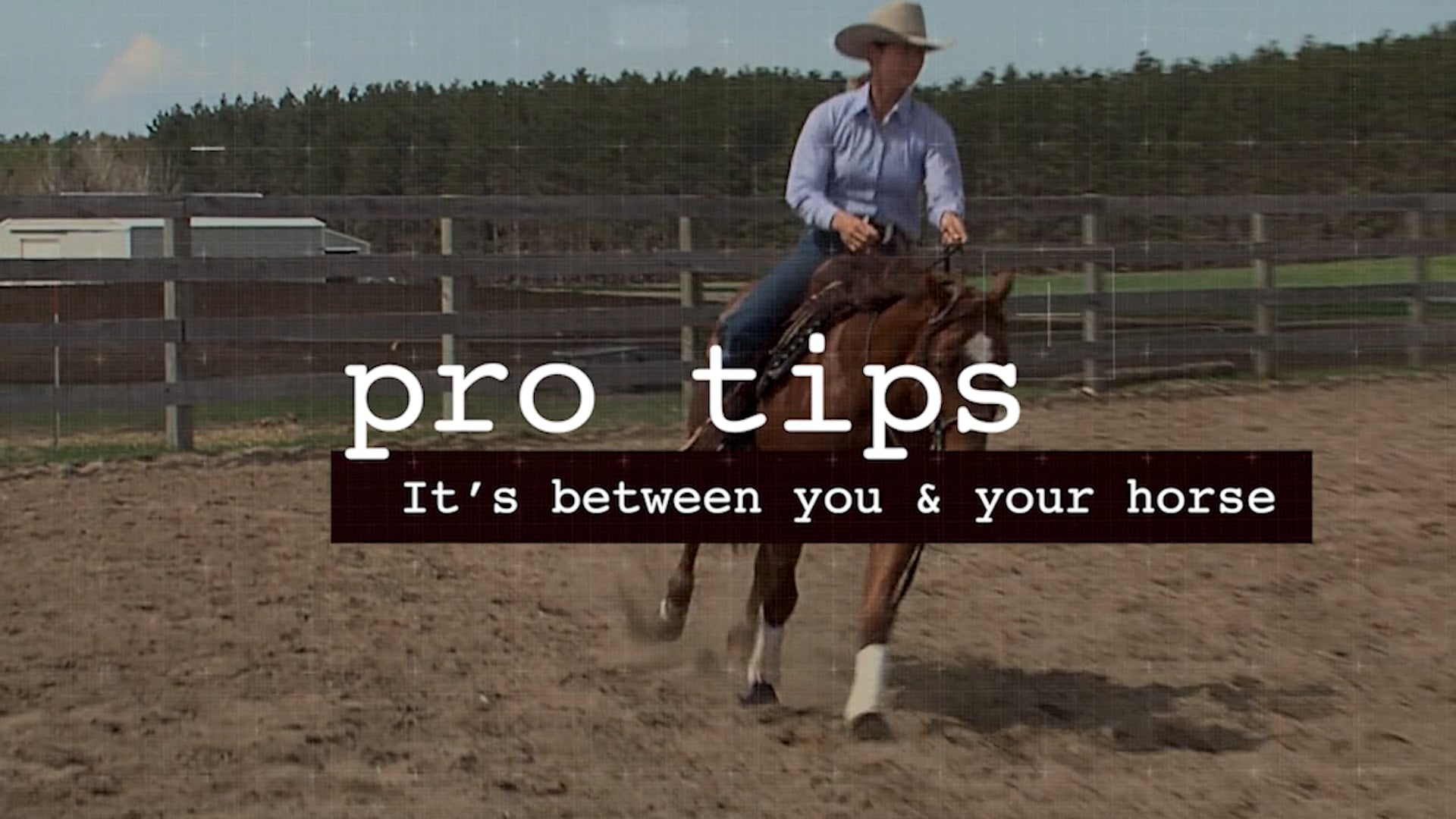 004 pro tips - It's between you & your horse.mp4