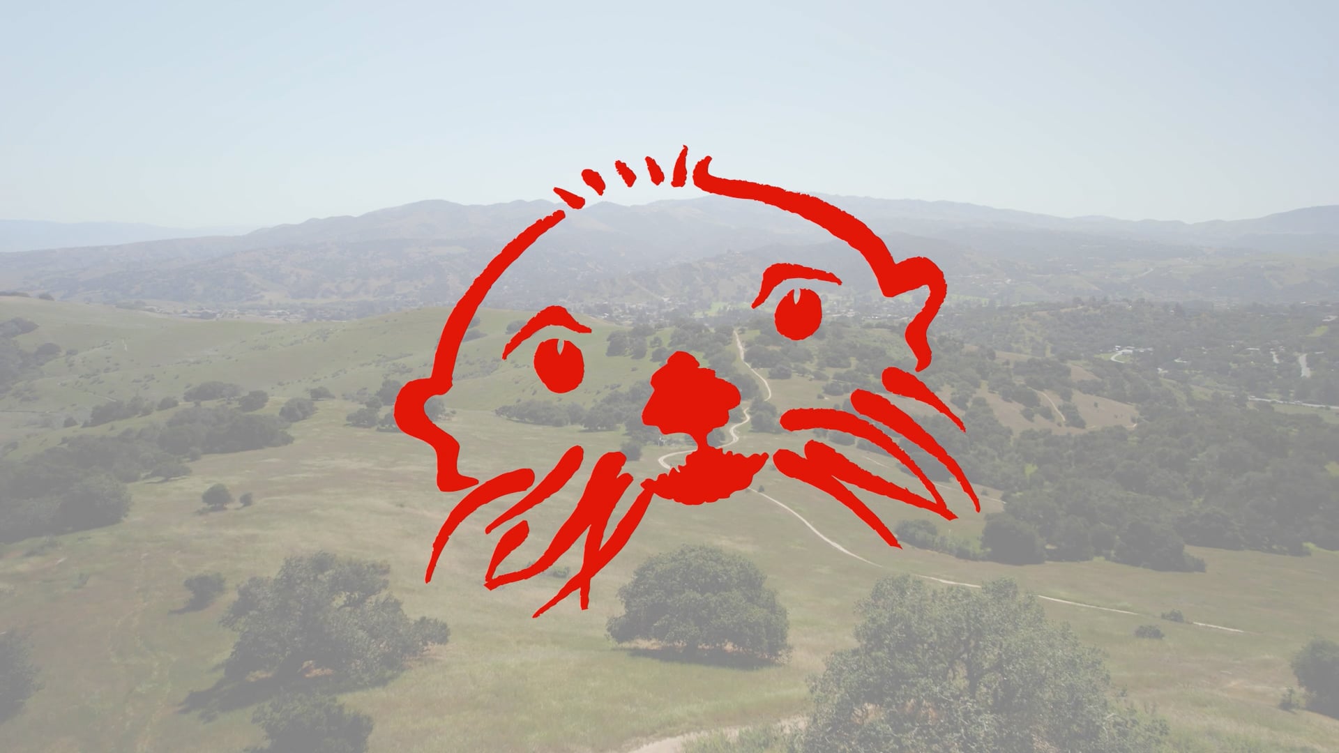 Sea Otter Classic 2022 Recap