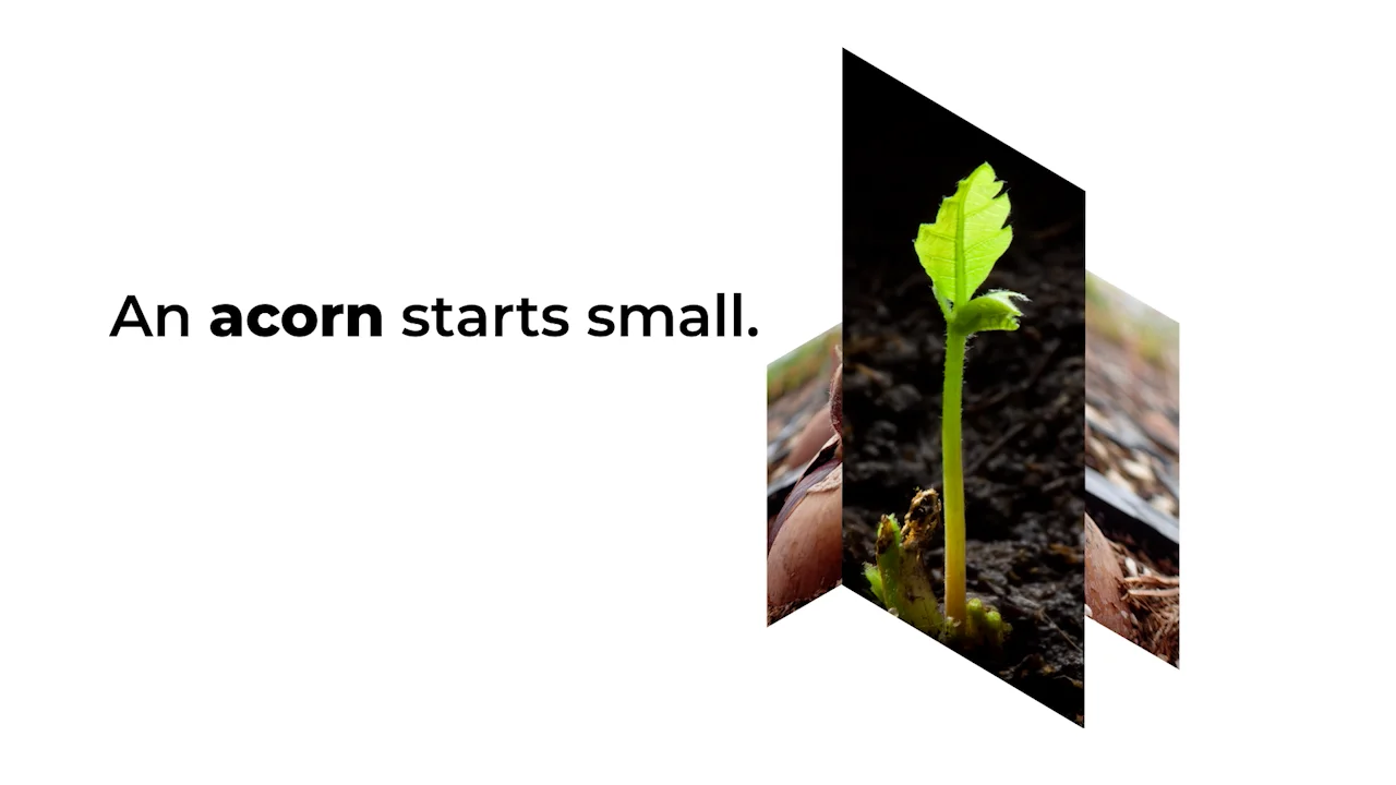 Acorn Strategy Corporate film on Vimeo