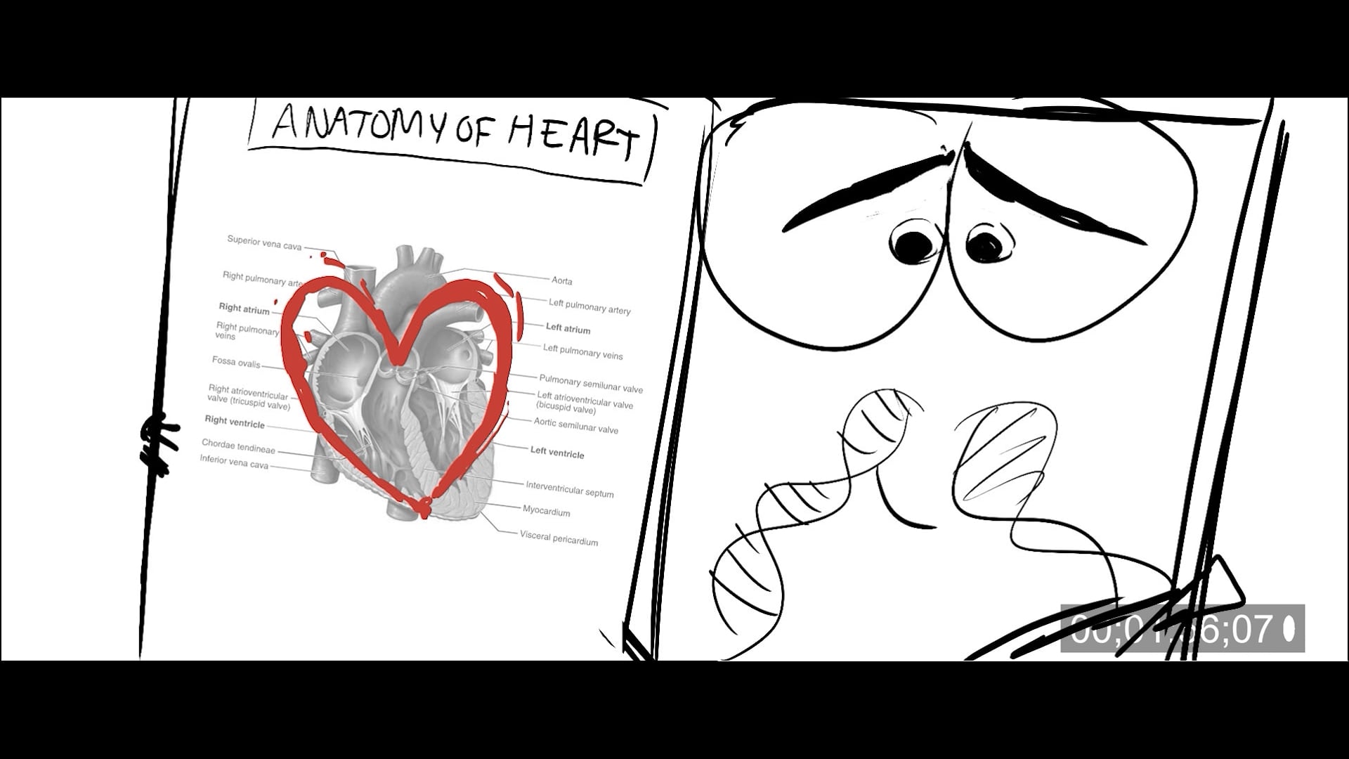 Animatic
