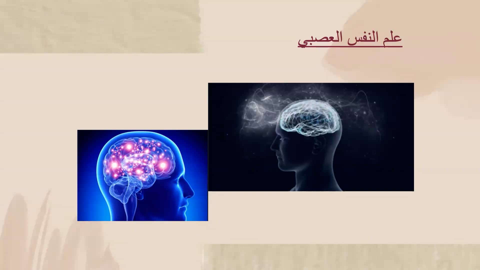 علم النفس العصبي.mov on Vimeo