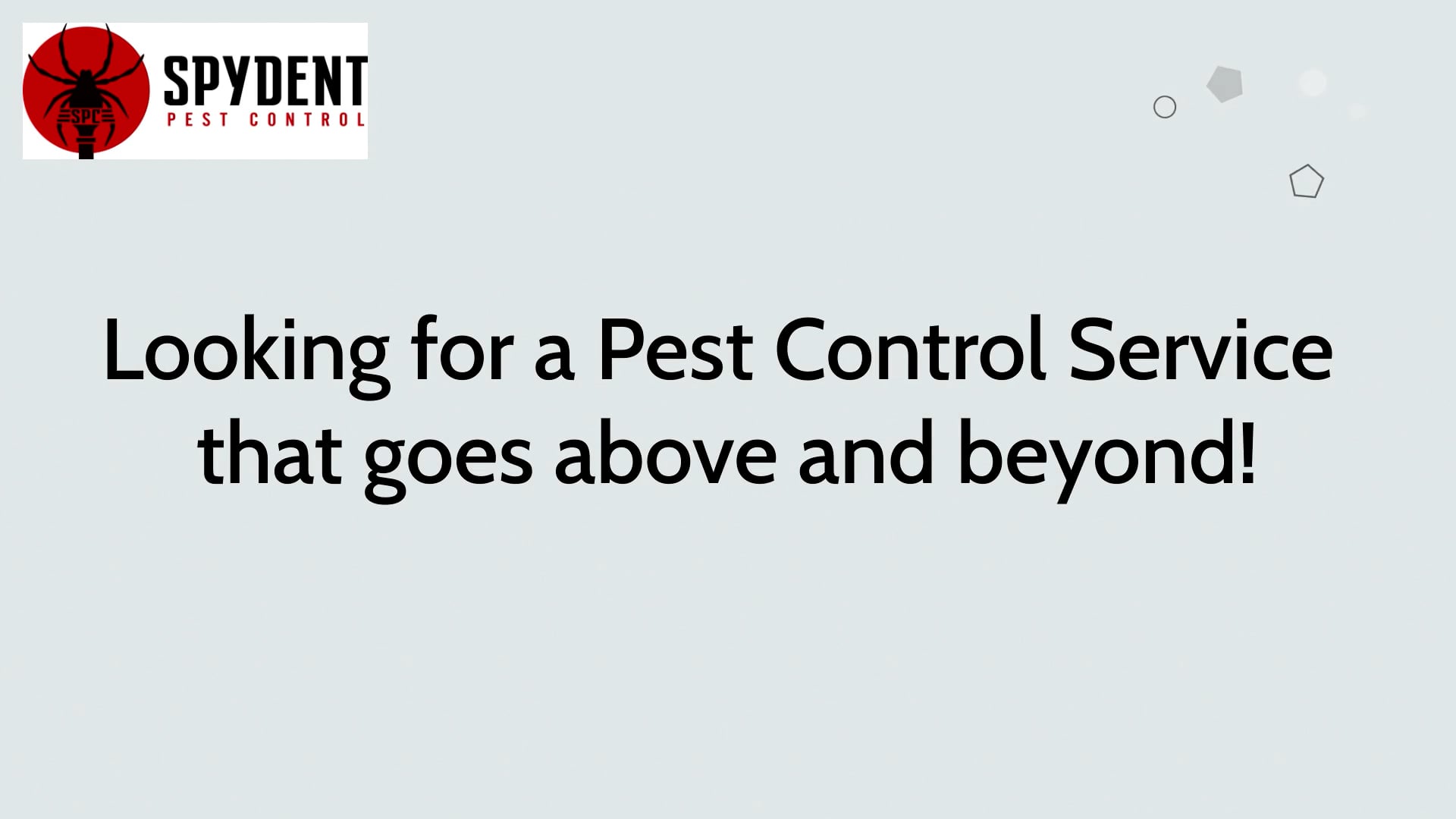 Spydent Pest Control