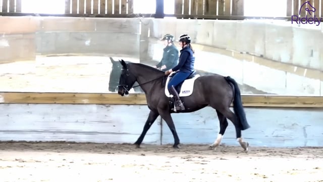 Preparing Transitions for Test Riding