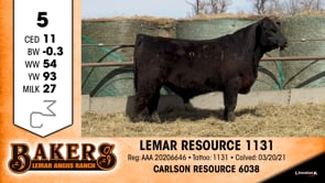 Lot #5 - LEMAR RESOURCE 1131
