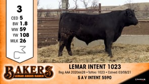 Lot #3 - LEMAR INTENT 1023