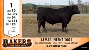 Lot #1 - LEMAR INTENT 1001