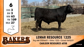 Lot #6 - LEMAR RESOURCE 1225