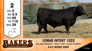 Lot #2 - LEMAR INTENT 1022