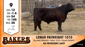 Lot #9 - *OUT* LEMAR PAYWEIGHT 1010 *OUT*