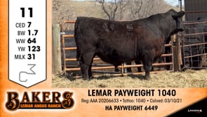 Lot #11 - LEMAR PAYWEIGHT 1040