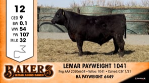 Lot #12 - LEMAR PAYWEIGHT 1041