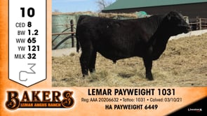 Lot #10 - LEMAR PAYWEIGHT 1031