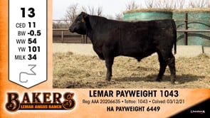 Lot #13 - LEMAR PAYWEIGHT 1043