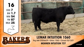 Lot #16 - LEMAR INTUITION 1060