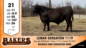 Lot #21 - LEMAR SENSATION 1119