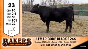 Lot #23 - LEMAR CODE BLACK 1246