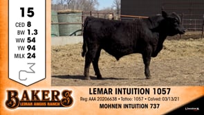 Lot #15 - LEMAR INTUITION 1057