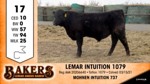 Lot #17 - LEMAR INTUITION 1079