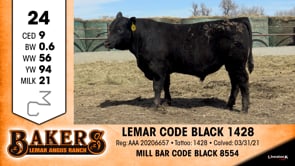 Lot #24 - LEMAR CODE BLACK 1428
