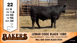 Lot #22 - LEMAR CODE BLACK 1080