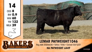 Lot #14 - LEMAR PAYWEIGHT 1046