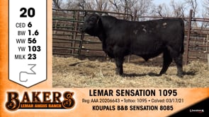 Lot #20 - LEMAR SENSATION 1095