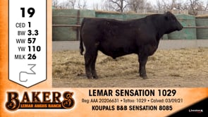 Lot #19 - LEMAR SENSATION 1029