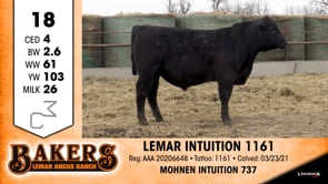 Lot #18 - LEMAR INTUITION 1161