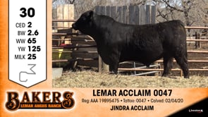 Lot #30 - LEMAR ACCLAIM 0047
