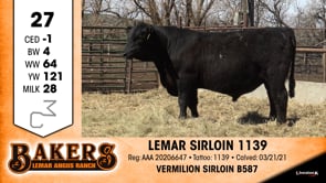 Lot #27 - LEMAR SIRLOIN 1139