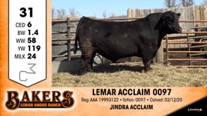Lot #31 - LEMAR ACCLAIM 0097