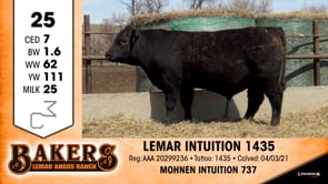 Lot #25 - *OUT* LEMAR INTUITION 1435 *OUT*