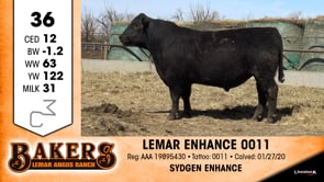 Lot #36 - LEMAR ENHANCE 0011