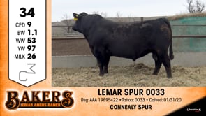 Lot #34 - LEMAR SPUR 0033