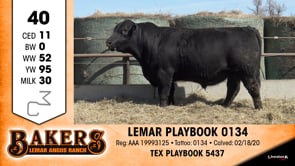 Lot #40 - LEMAR PLAYBOOK 0134