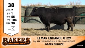 Lot #38 - LEMAR ENHANCE 0129