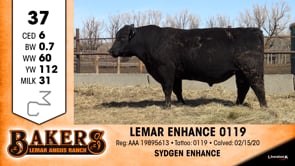 Lot #37 - LEMAR ENHANCE 0119